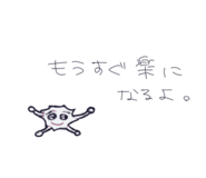 876639603