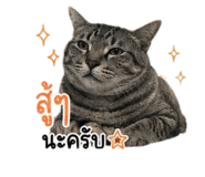 876640340