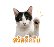 876651961