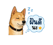 876658636