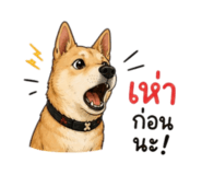 876658650