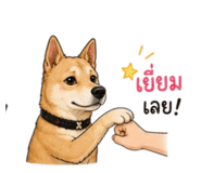 876658656