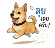 876658658
