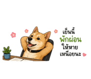 876658672