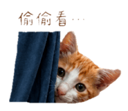 876663543