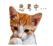 876663554