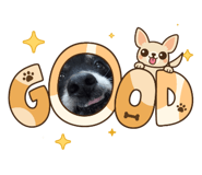 876685941