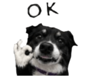 876686563