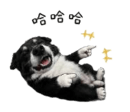 876686564