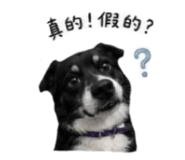 876686569