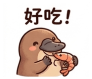 876688251