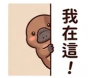 876688254