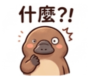 876688257