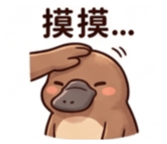 876688262