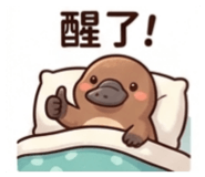 876688266