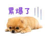 876690278