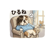 876704143