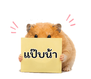 876705238