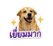 876736043