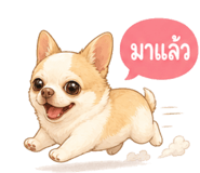 876747137