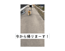 876768921