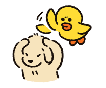 876778128
