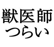 876781510