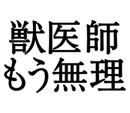 876781511