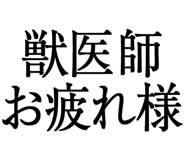 876781515