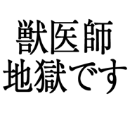 876781517