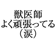 876781527