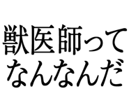 876781528