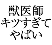 876781529