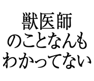 876781532