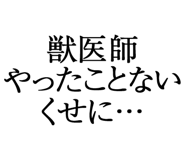 876781533