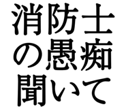 876781805