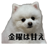 876794172