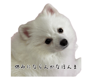 876794185