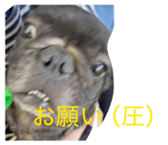 876834171