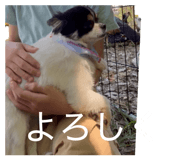 876834172