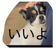 876834174