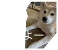 876834177