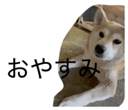 876834183