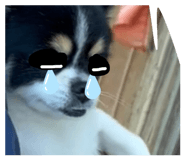 876834187