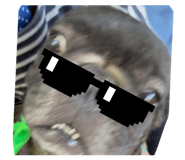 876834191