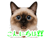 876850018
