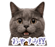 876850020