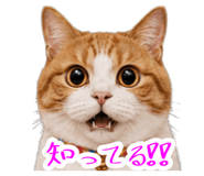 876850025
