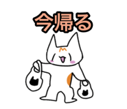 876851082