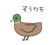 876863976